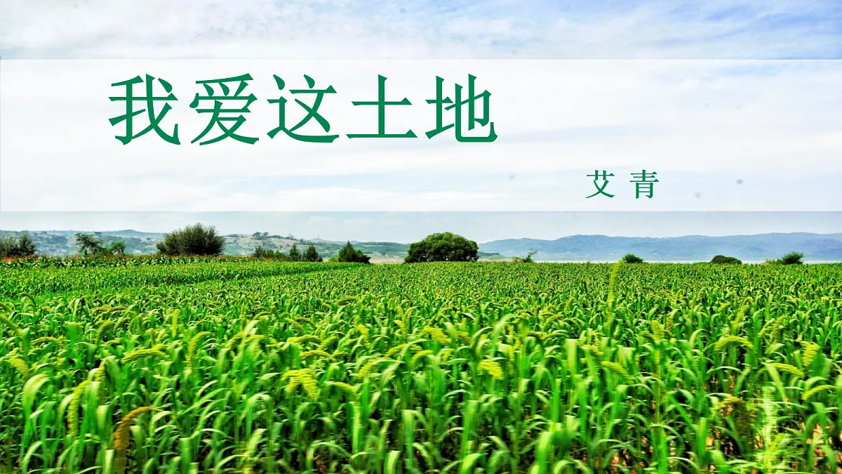 18514080第2页