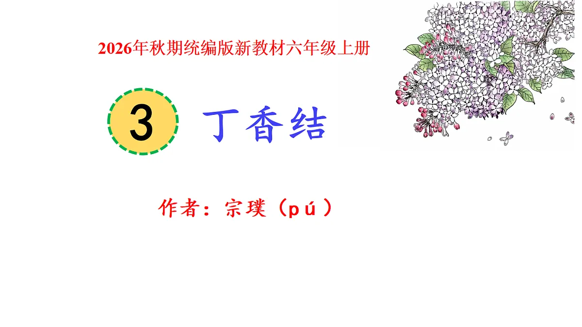 3《丁香结》教学课件第1页