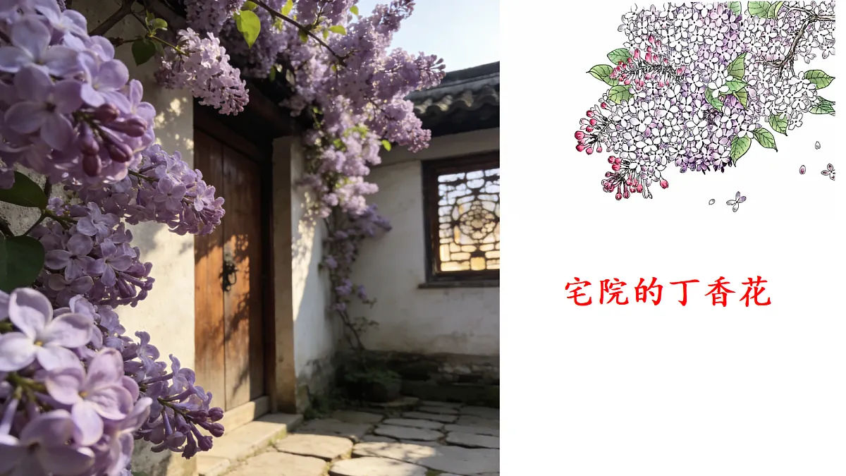 3《丁香结》教学课件第2页