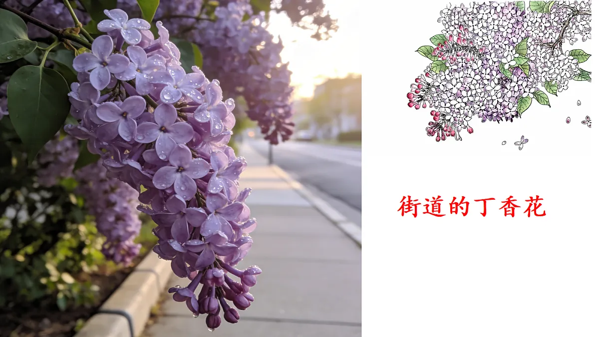 3《丁香结》教学课件第5页