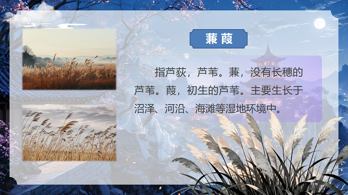 18517150第4页