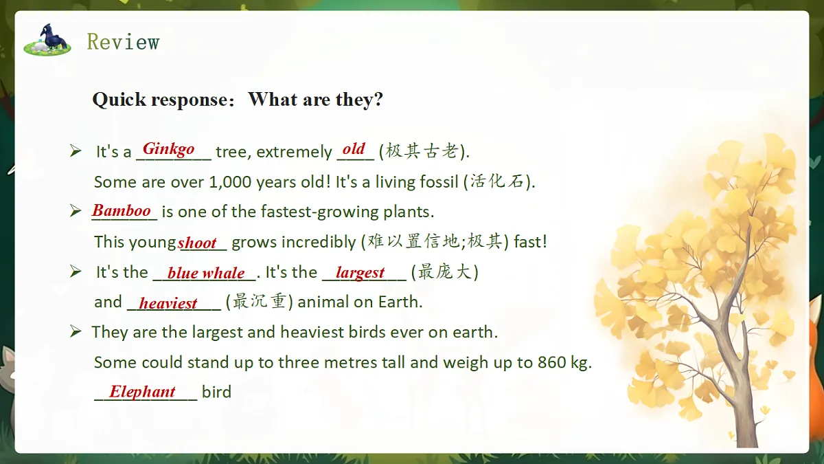 人教2024初中英语八年级上册Unit4Amazing Plants and Animals SectionBProject课件第3页
