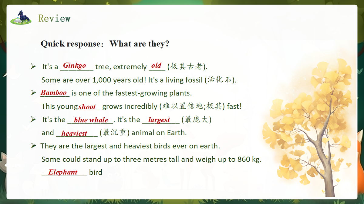 人教2024初中英语八年级上册Unit4Amazing Plants and Animals SectionBProject课件第3页