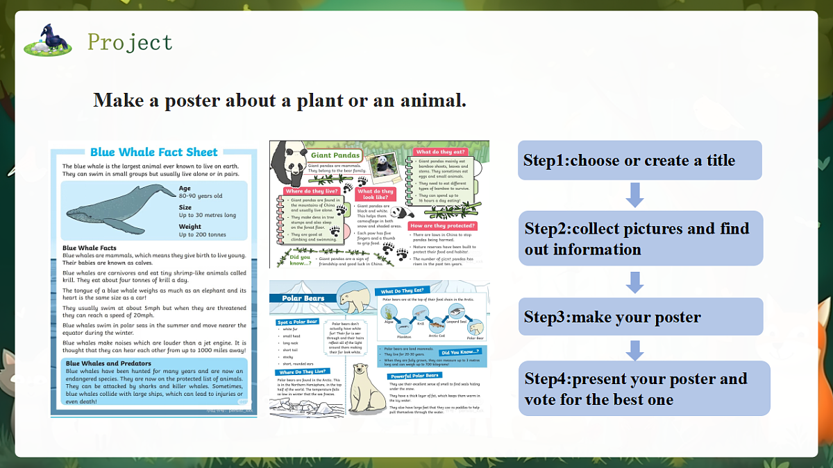 人教2024初中英语八年级上册Unit4Amazing Plants and Animals SectionBProject课件第6页