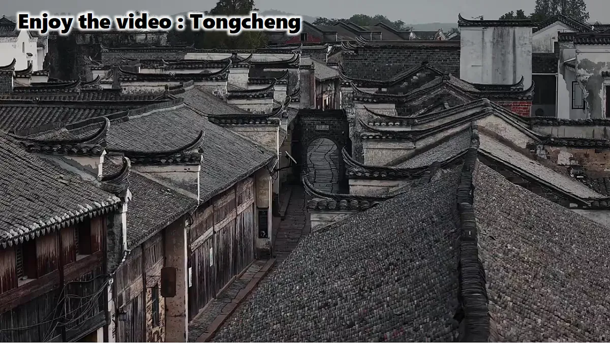 18517593第3页