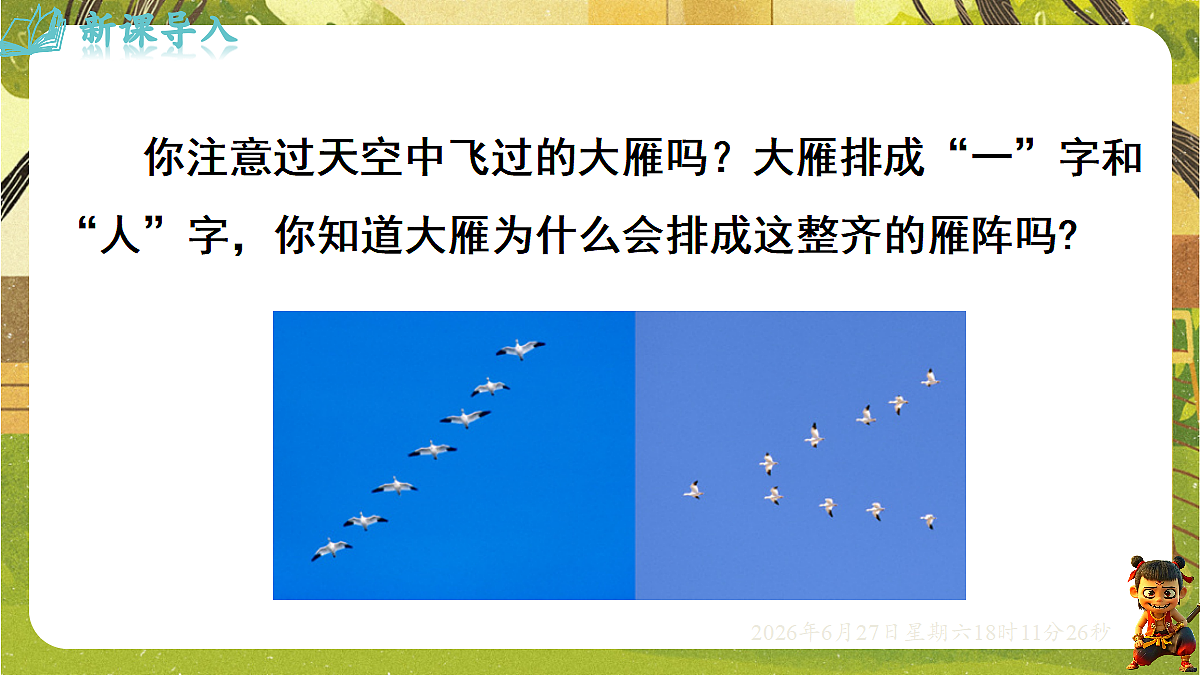 18517677第3页