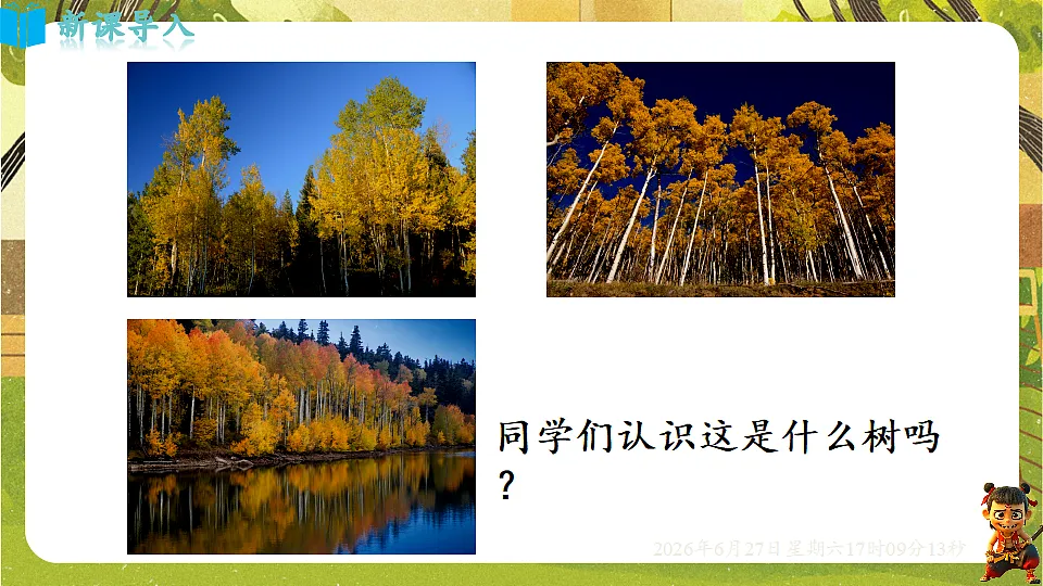 18517698第3页