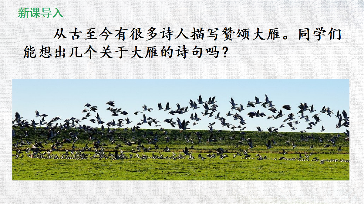 18519387第2页