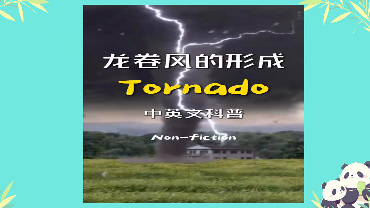 18520777第2页