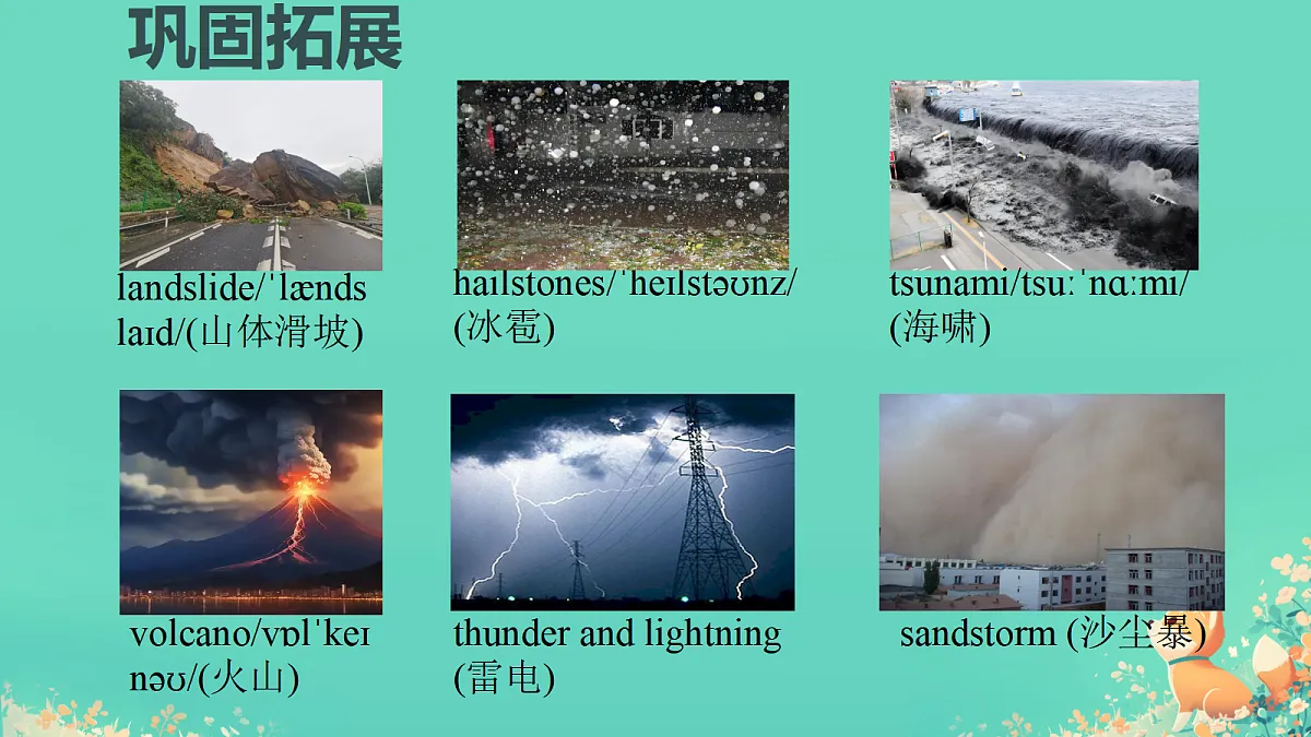 18520785第7页