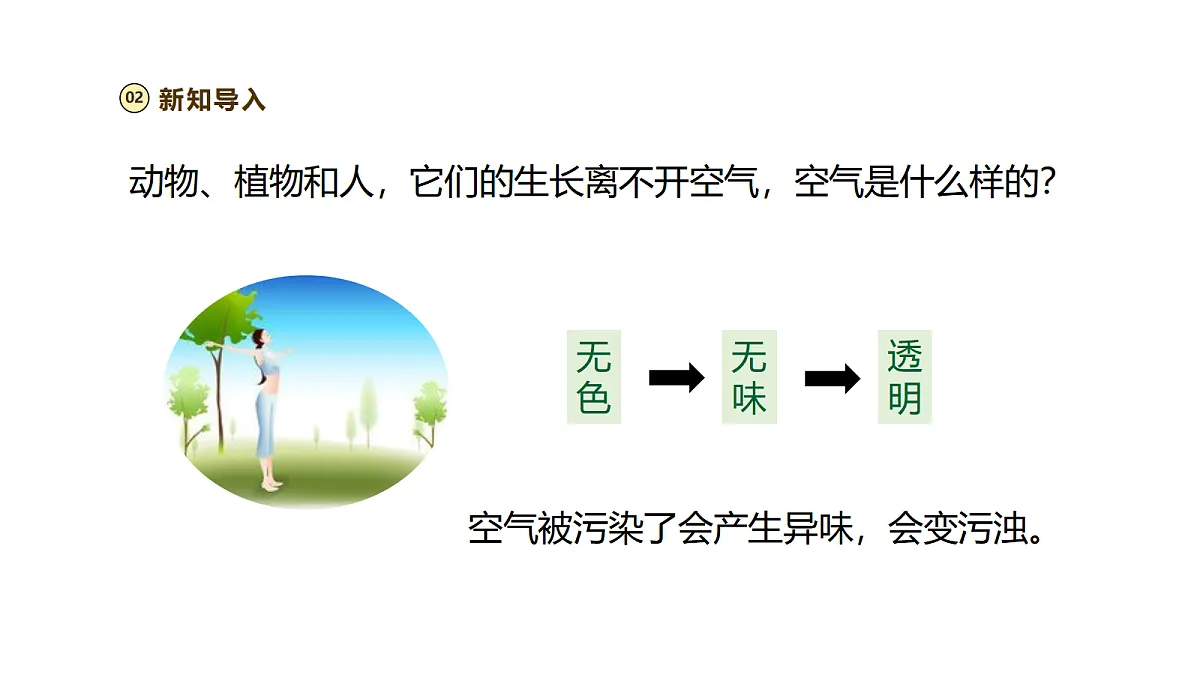 18521520第5页
