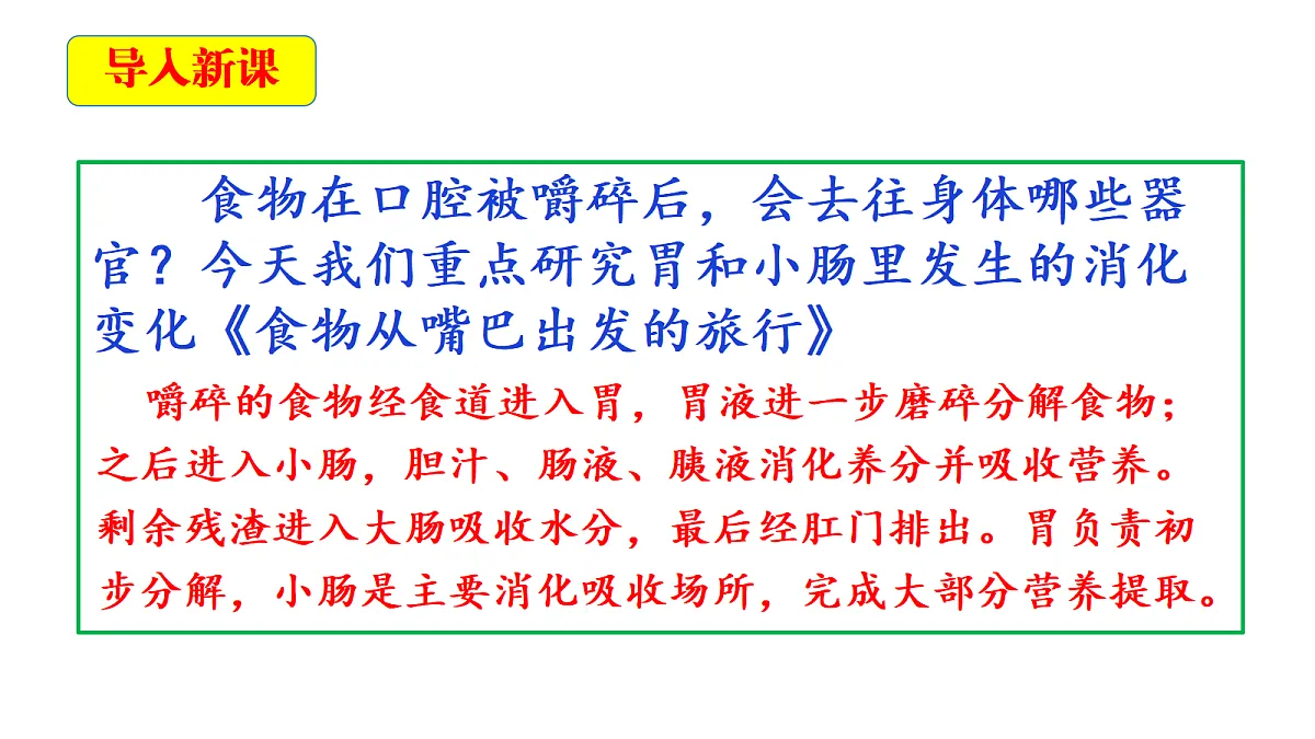 2.6《胃和小肠里的消化》教学课件第4页