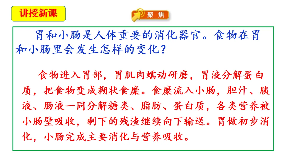 2.6《胃和小肠里的消化》教学课件第5页