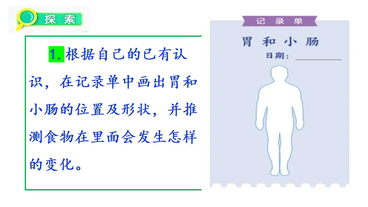 2.6《胃和小肠里的消化》教学课件第6页