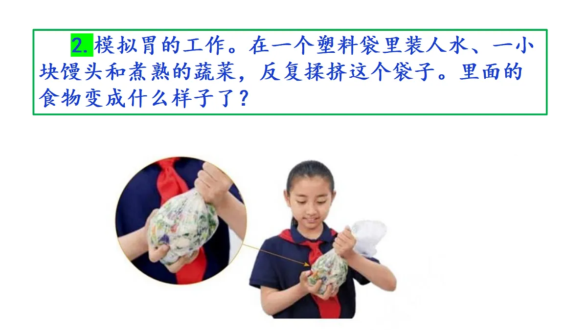 2.6《胃和小肠里的消化》教学课件第7页