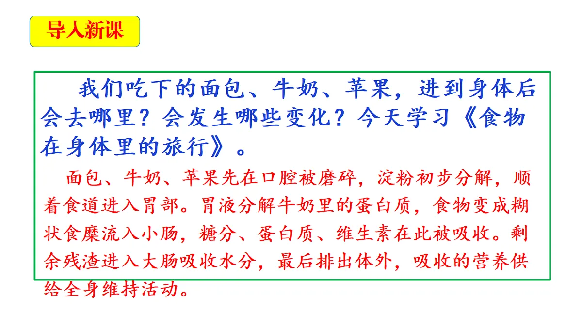 2.8《呵护我们的器官》教学课件第4页