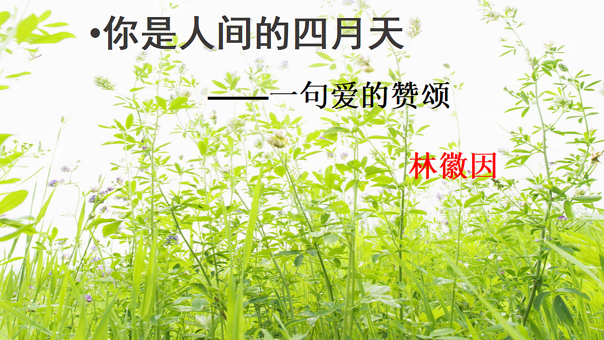 18522865第4页