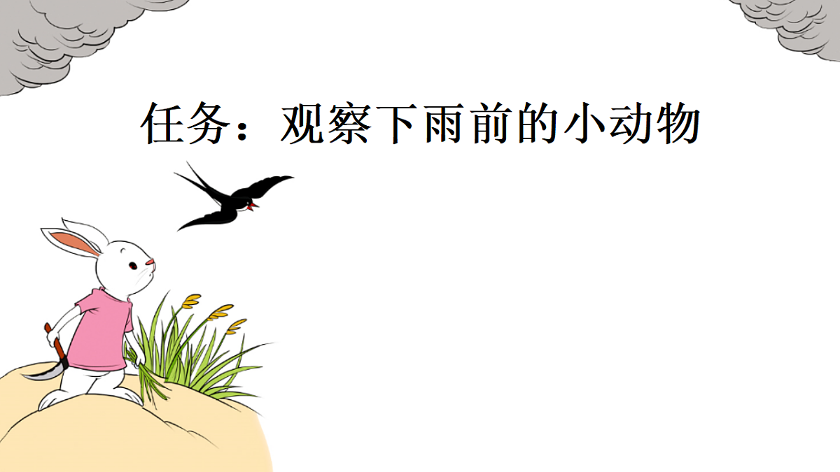 18523455第2页