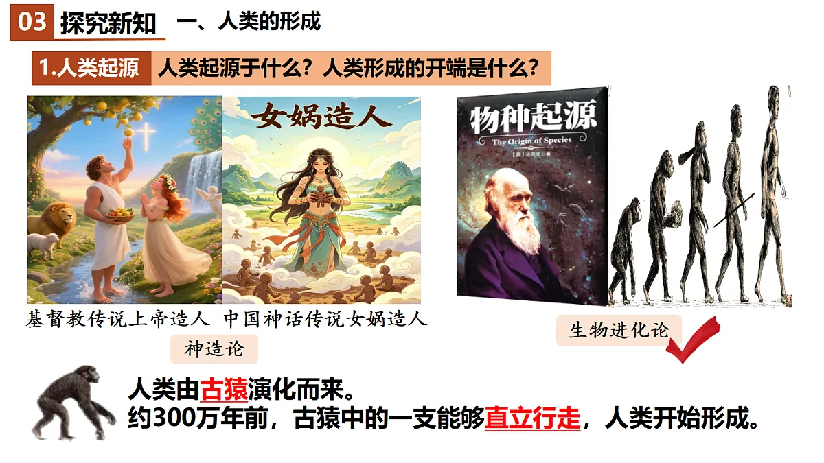 18523478第5页