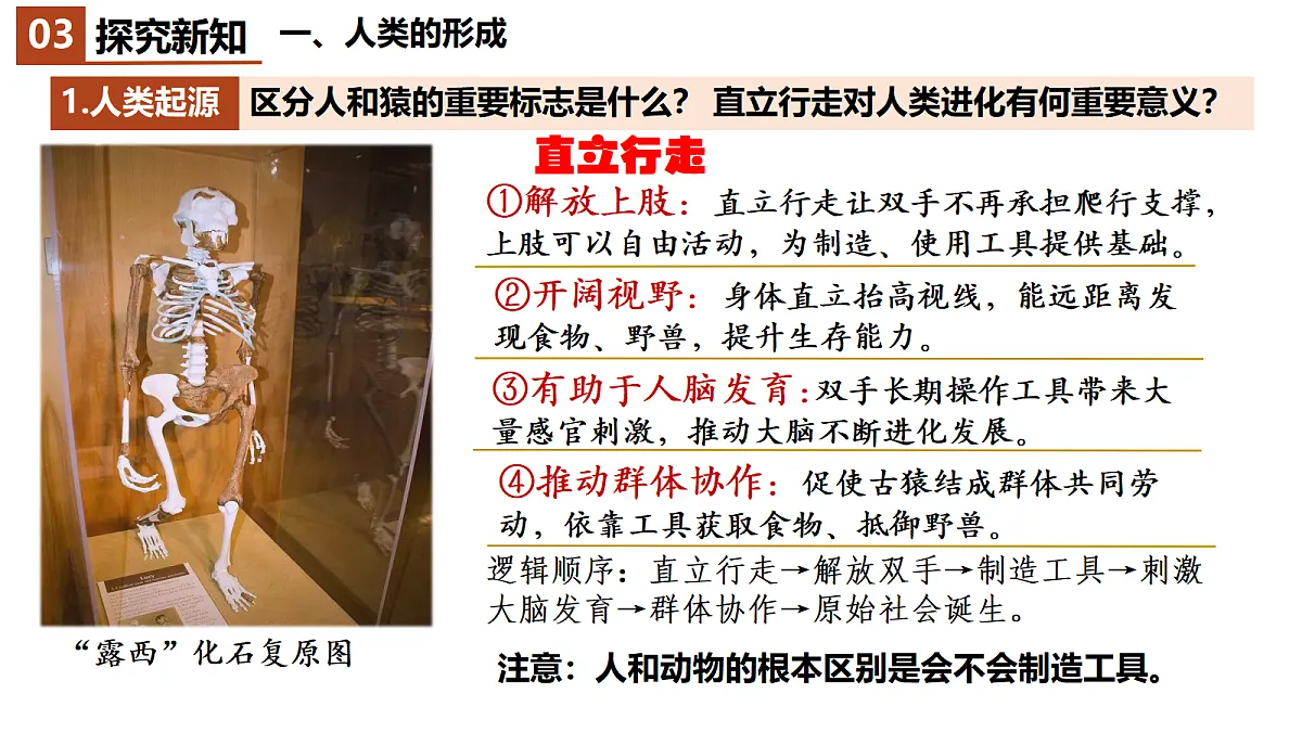18523478第6页