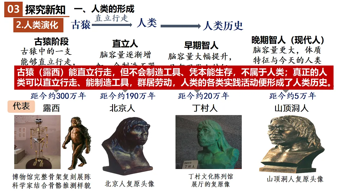 18523478第7页