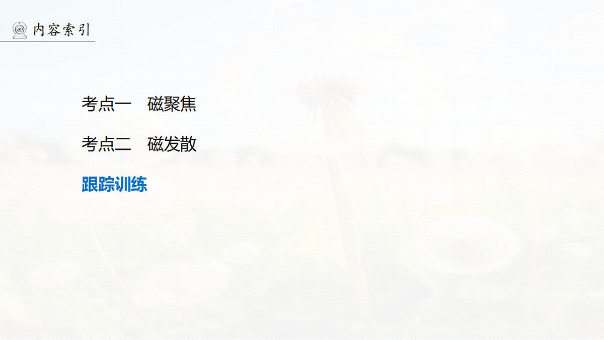 第十一章 微点突破9 磁聚焦与磁发散第4页