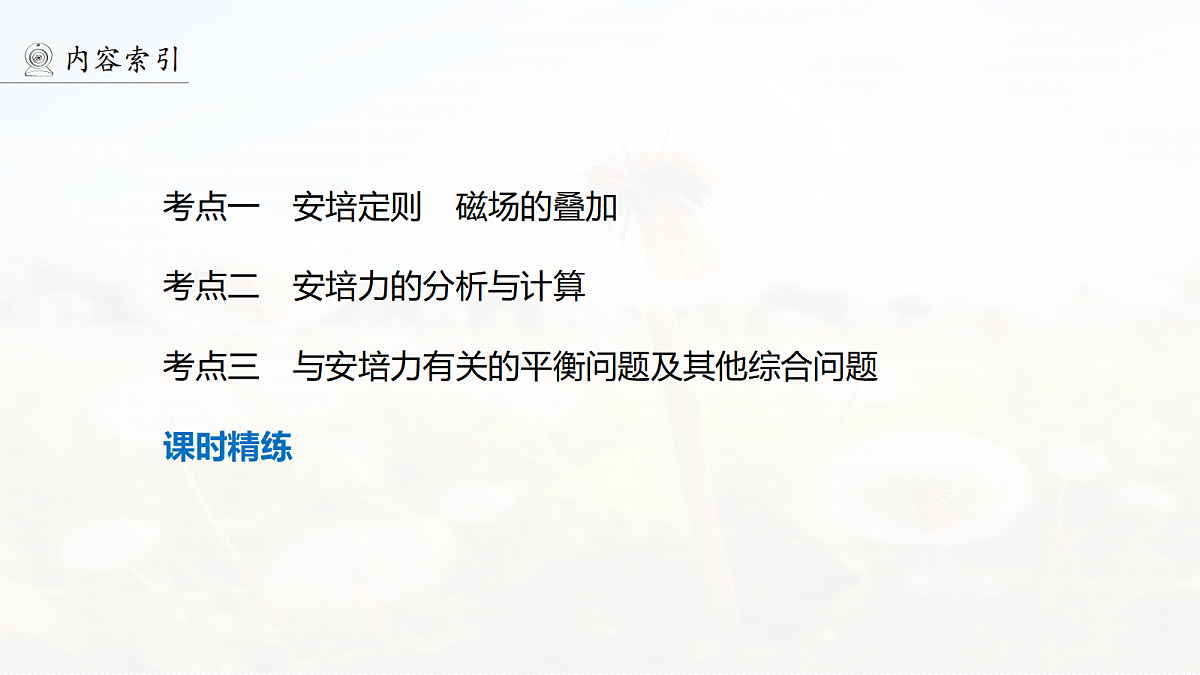 第十一章 第56课时 磁场及其对电流的作用第6页