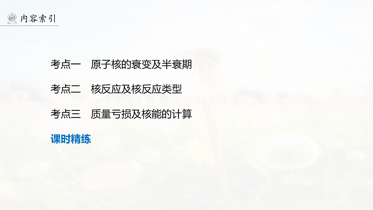 第十六章 第81课时 原子核第4页