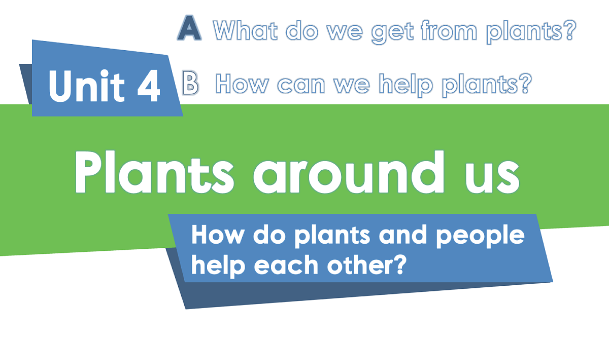 英语人教版(PEP)三年级上册 Unit 4 Plants around us Lesson 3 Letters and sounds第2页