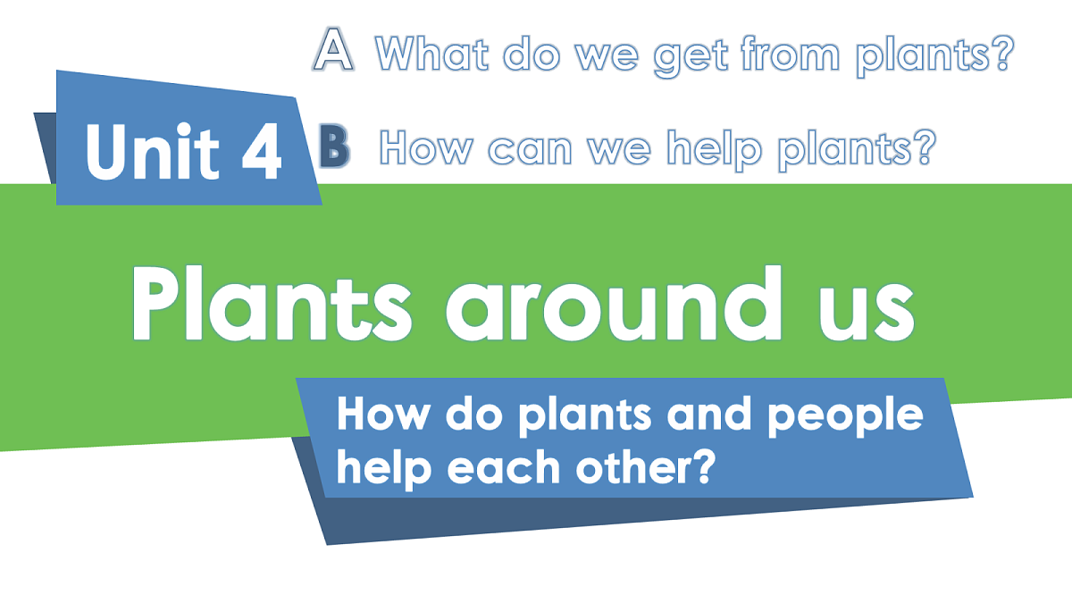 英语人教版(PEP)三年级上册 Unit 4 Plants around us Lesson 4 Let's talk第2页