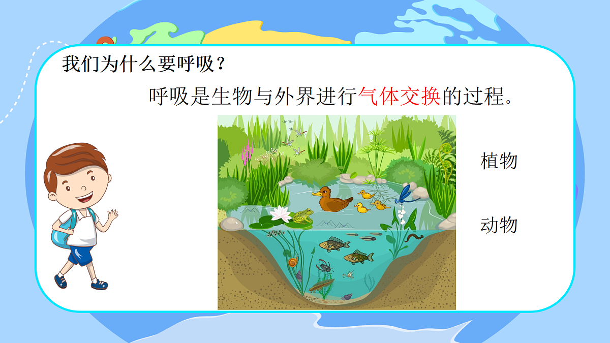 18527188第5页