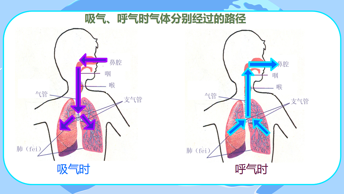 18527188第8页