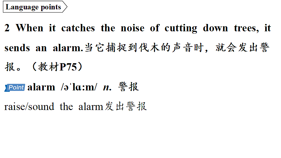 2.Developing ideas第5页