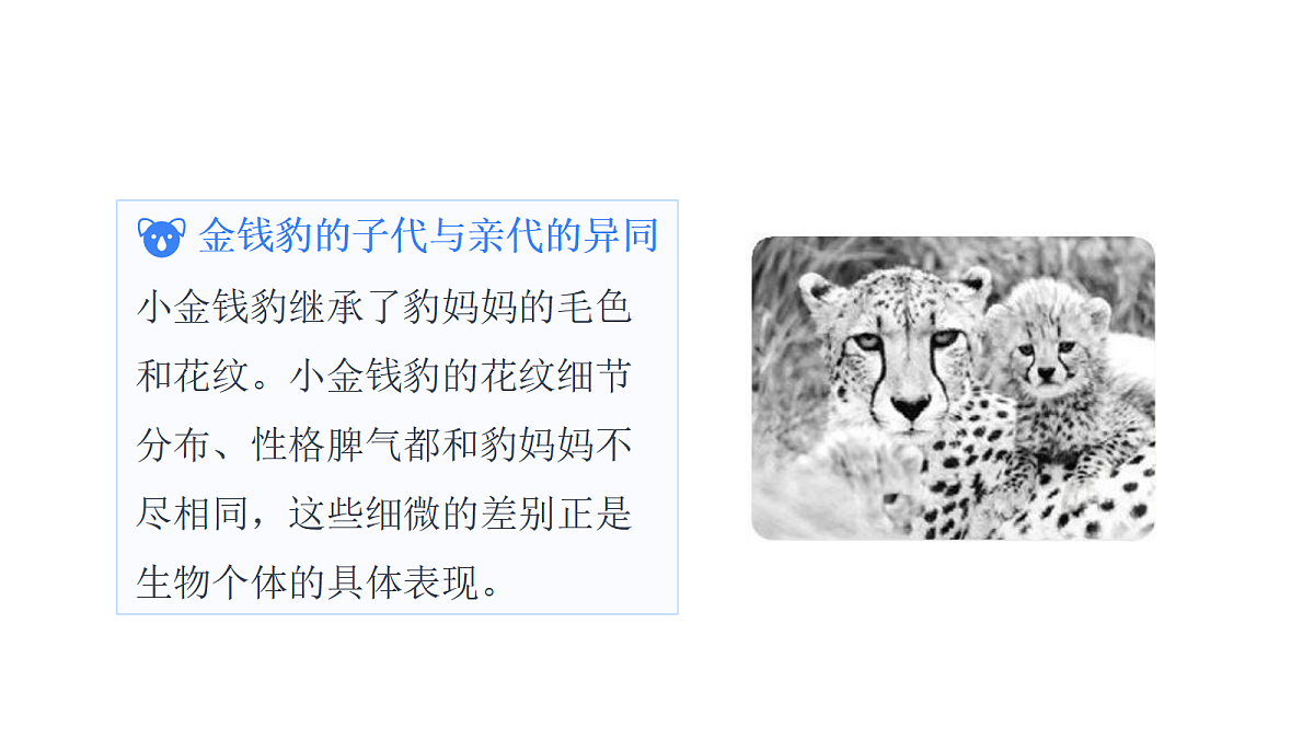 18529307第7页