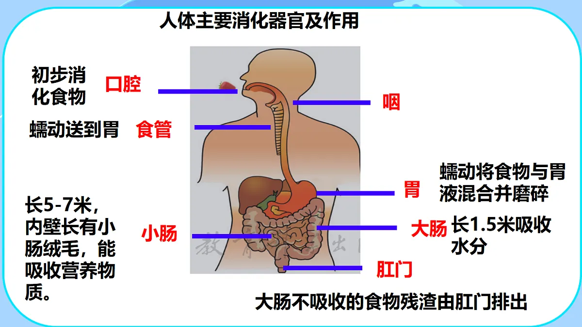 18531197第7页