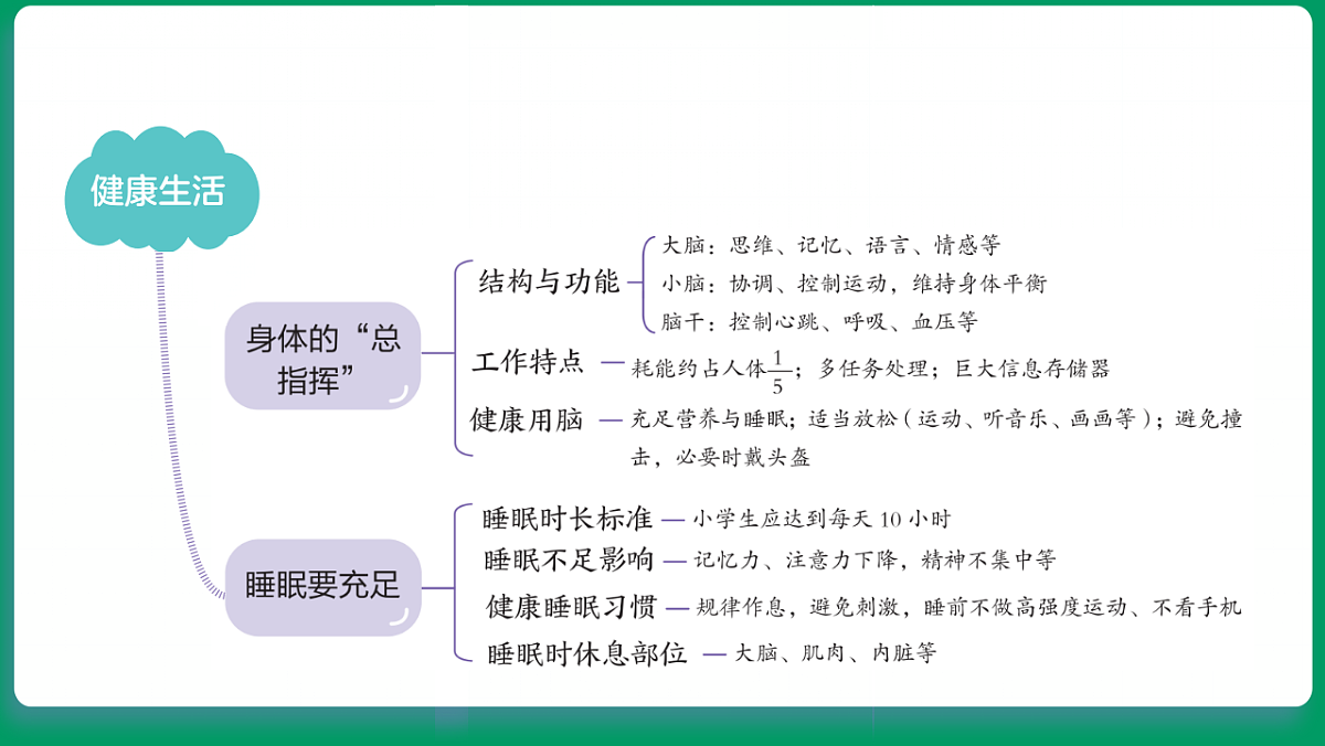 1.1生长发育的信息 课堂重点知识笔记课件第4页