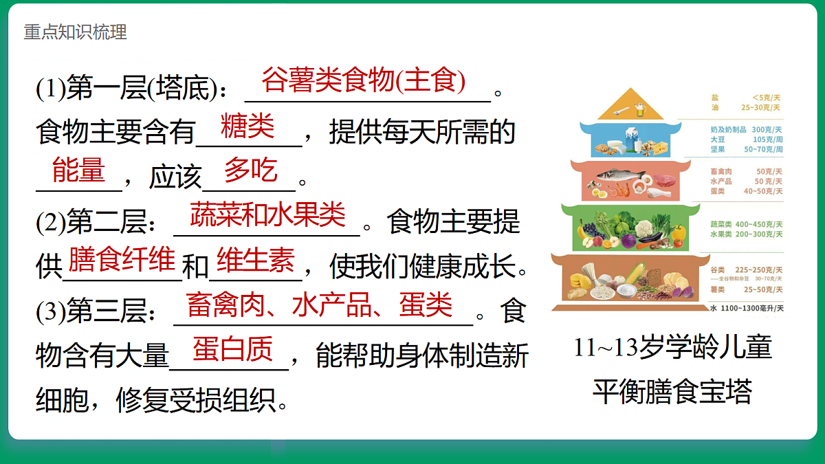 1.3营养要均衡 课堂重点知识笔记课件第4页