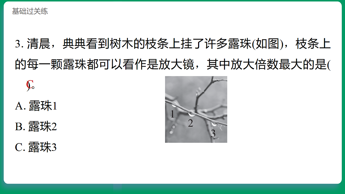 1.1 研究放大镜 习题课件第4页