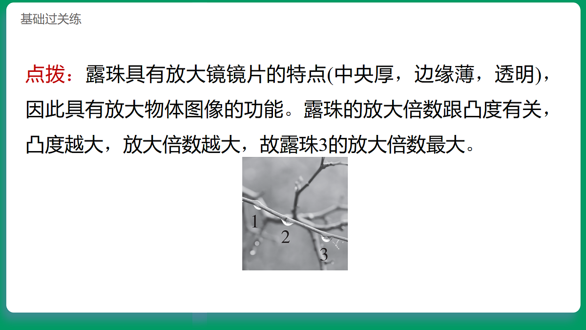 1.1 研究放大镜 习题课件第5页