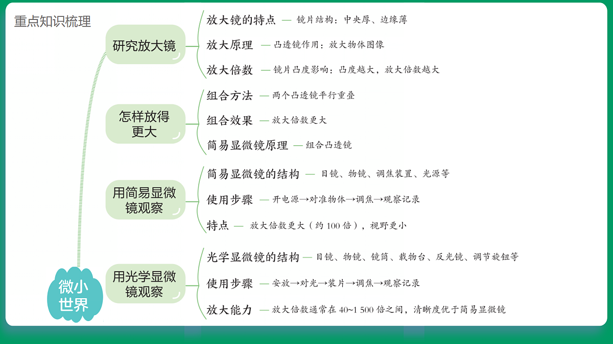 1.1研究放大镜 课堂重点知识笔记课件第2页