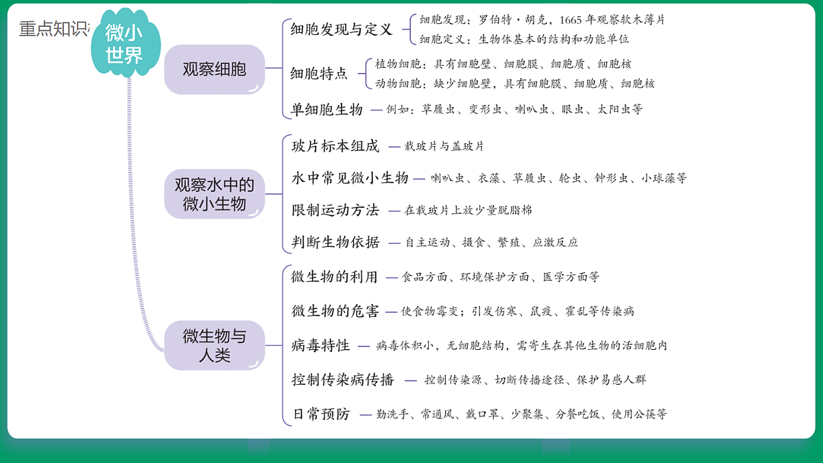 1.1研究放大镜 课堂重点知识笔记课件第3页