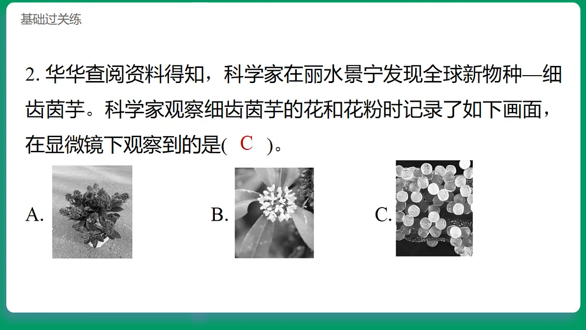 1.3用简易显微镜观察 习题课件第3页