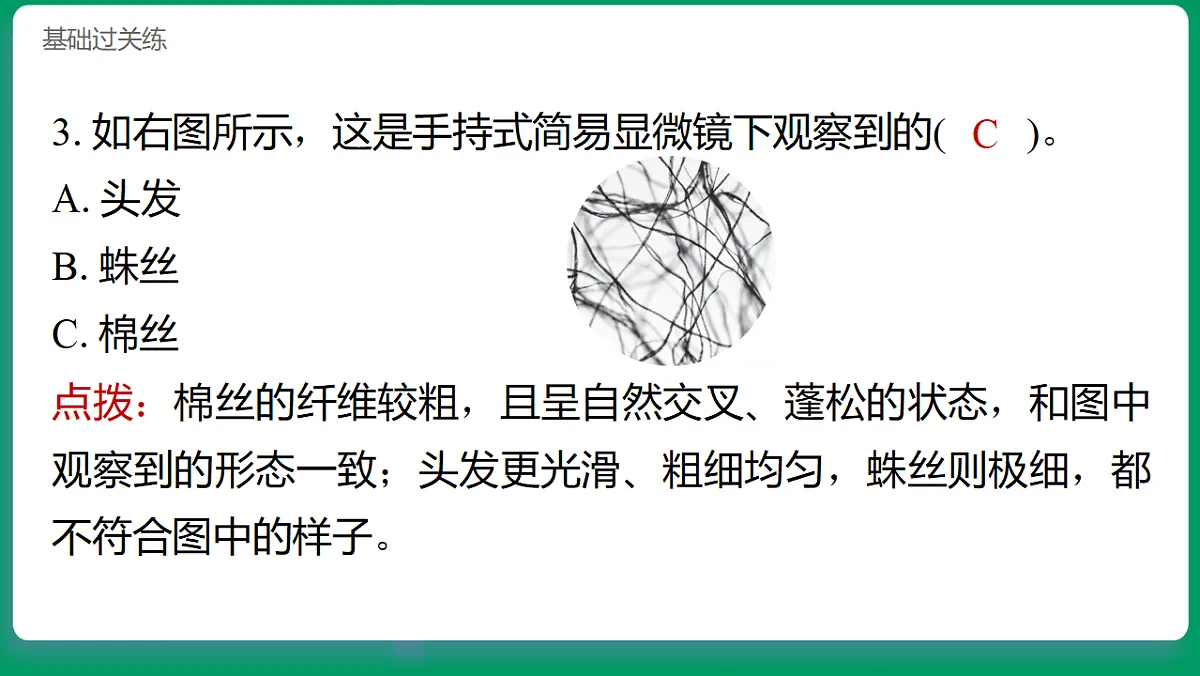 1.3用简易显微镜观察 习题课件第4页