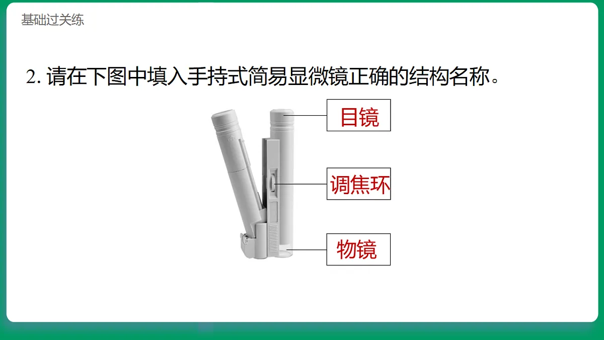1.3用简易显微镜观察 习题课件第8页