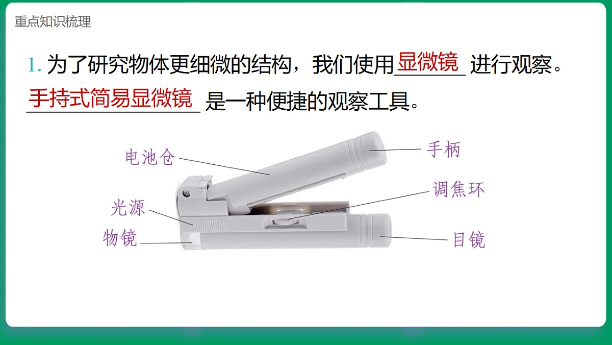 1.3用简易显微镜观察 课堂重点知识笔记课件第2页