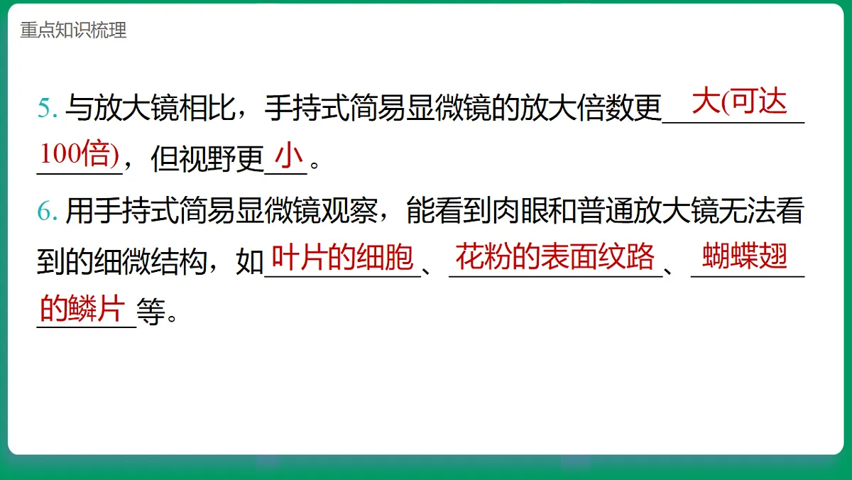 1.3用简易显微镜观察 课堂重点知识笔记课件第4页