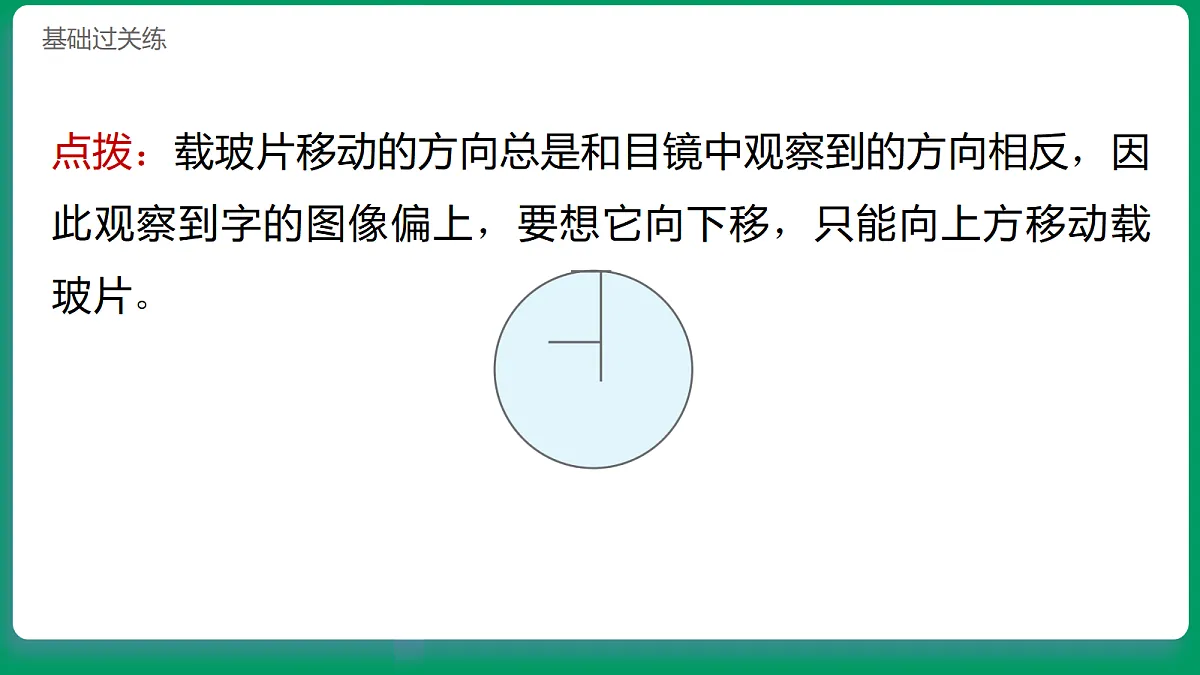 1.4用光学显微镜观察 习题课件第7页