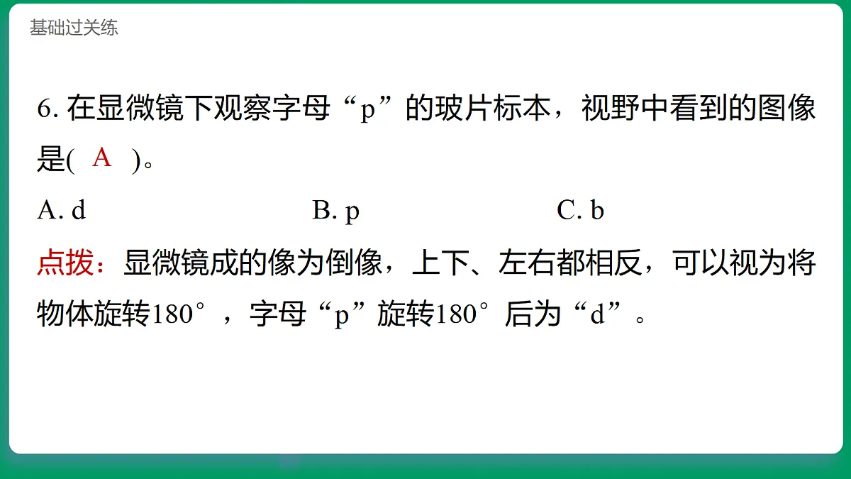 1.4用光学显微镜观察 习题课件第8页
