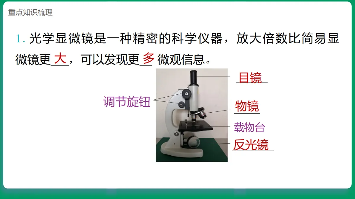 1.4用光学显微镜观察 课堂重点知识笔记课件第2页