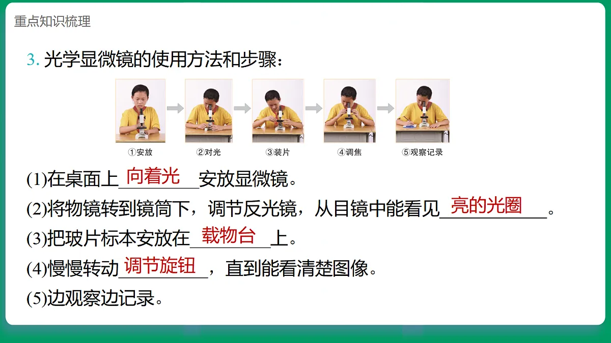 1.4用光学显微镜观察 课堂重点知识笔记课件第4页
